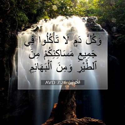 Picture 07 - اَللَّاوِيِّينَ 7:26 AVD - وَكُلَّ دَمٍ لَا - Bible Verse Picture