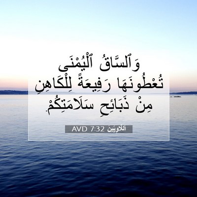 Picture 07 - اَللَّاوِيِّينَ 7:32 AVD - وَٱلسَّاقُ ٱلْيُمْنَى - Bible Verse Picture