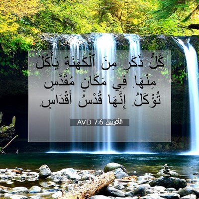 Picture 07 - اَللَّاوِيِّينَ 7:6 AVD - كُلُّ ذَكَرٍ مِنَ - Bible Verse Picture
