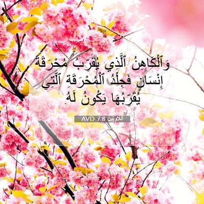 Picture 07 - اَللَّاوِيِّينَ 7:8 AVD - وَٱلْكَاهِنُ ٱلَّذِي - Bible Verse Picture