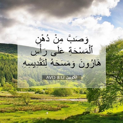 Picture 07 - اَللَّاوِيِّينَ 8:12 AVD - وَصَبَّ مِنْ دُهْنِ - Bible Verse Picture