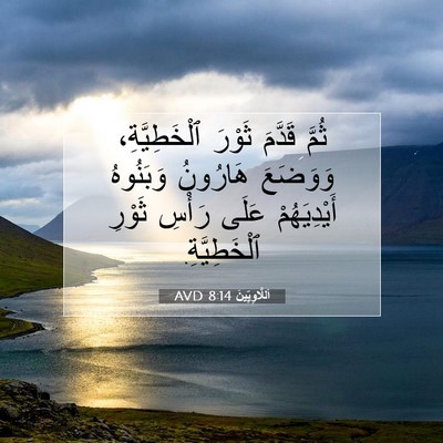 Picture 07 - اَللَّاوِيِّينَ 8:14 AVD - ثُمَّ قَدَّمَ ثَوْرَ - Bible Verse Picture