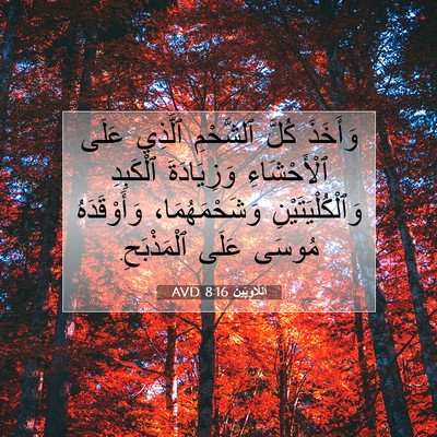 Picture 07 - اَللَّاوِيِّينَ 8:16 AVD - وَأَخَذَ كُلَّ ٱلشَّحْمِ - Bible Verse Picture