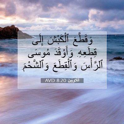 Picture 07 - اَللَّاوِيِّينَ 8:20 AVD - وَقَطَّعَ ٱلْكَبْشَ إِلَى - Bible Verse Picture
