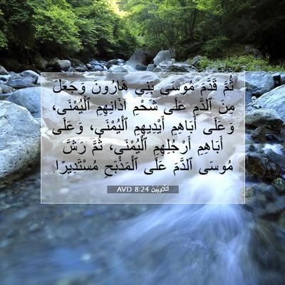 Picture 07 - اَللَّاوِيِّينَ 8:24 AVD - ثُمَّ قَدَّمَ مُوسَى بَنِي - Bible Verse Picture