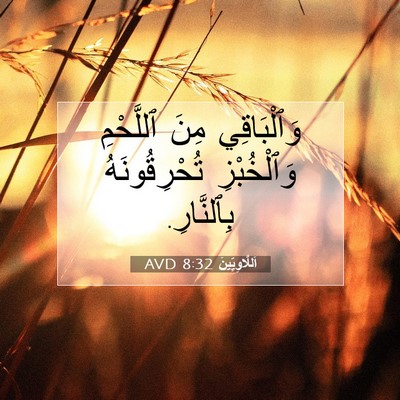 Picture 07 - اَللَّاوِيِّينَ 8:32 AVD - وَٱلْبَاقِي مِنَ - Bible Verse Picture