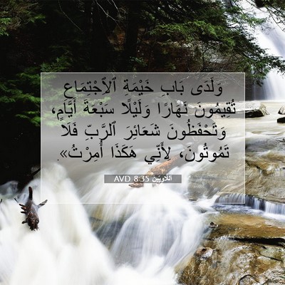 Picture 07 - اَللَّاوِيِّينَ 8:35 AVD - وَلَدَى بَابِ خَيْمَةِ - Bible Verse Picture