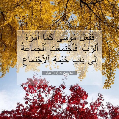 Picture 07 - اَللَّاوِيِّينَ 8:4 AVD - فَفَعَلَ مُوسَى كَمَا - Bible Verse Picture
