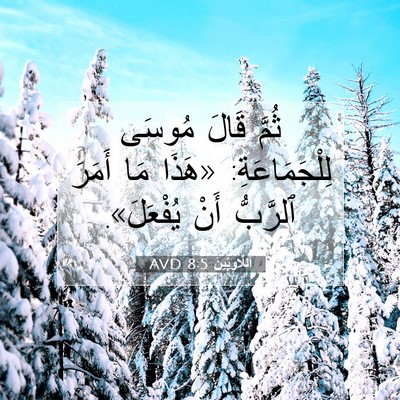 Picture 07 - اَللَّاوِيِّينَ 8:5 AVD - ثُمَّ قَالَ مُوسَى - Bible Verse Picture