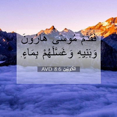 Picture 07 - اَللَّاوِيِّينَ 8:6 AVD - فَقَدَّمَ مُوسَى هَارُونَ - Bible Verse Picture