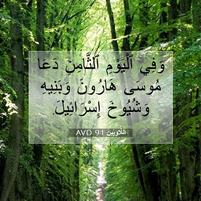 Picture 07 - اَللَّاوِيِّينَ 9:1 AVD - وَفِي ٱلْيَوْمِ - Bible Verse Picture