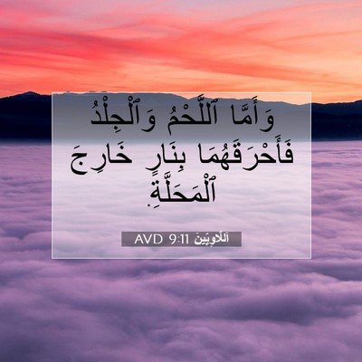 Picture 07 - اَللَّاوِيِّينَ 9:11 AVD - وَأَمَّا ٱللَّحْمُ - Bible Verse Picture