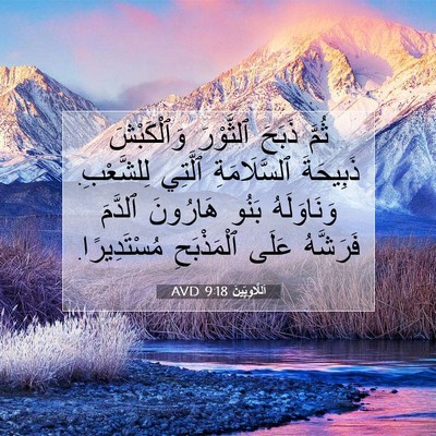 Picture 07 - اَللَّاوِيِّينَ 9:18 AVD - ثُمَّ ذَبَحَ ٱلثَّوْرَ - Bible Verse Picture