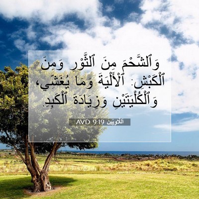 Picture 07 - اَللَّاوِيِّينَ 9:19 AVD - وَٱلشَّحْمَ مِنَ - Bible Verse Picture