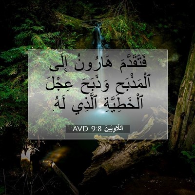 Picture 07 - اَللَّاوِيِّينَ 9:8 AVD - فَتَقَدَّمَ هَارُونُ - Bible Verse Picture