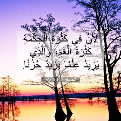 Picture 07 - اَلْجَامِعَةِ 1:18 AVD - لِأَنَّ فِي كَثْرَةِ - Bible Verse Picture