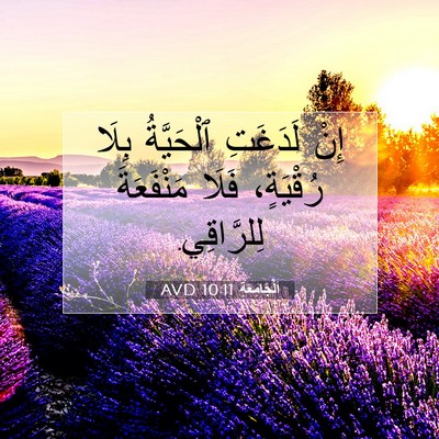 Picture 07 - اَلْجَامِعَةِ 10:11 AVD - إِنْ لَدَغَتِ ٱلْحَيَّةُ - Bible Verse Picture