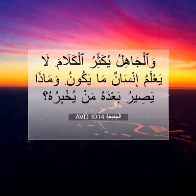 Picture 07 - اَلْجَامِعَةِ 10:14 AVD - وَٱلْجَاهِلُ يُكَثِّرُ - Bible Verse Picture