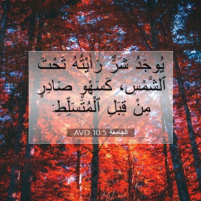 Picture 07 - اَلْجَامِعَةِ 10:5 AVD - يُوجَدُ شَرٌّ رَأَيْتُهُ - Bible Verse Picture