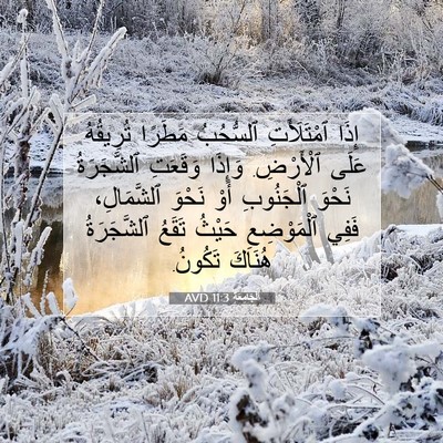 Picture 07 - اَلْجَامِعَةِ 11:3 AVD - إِذَا ٱمْتَلَأَتِ - Bible Verse Picture