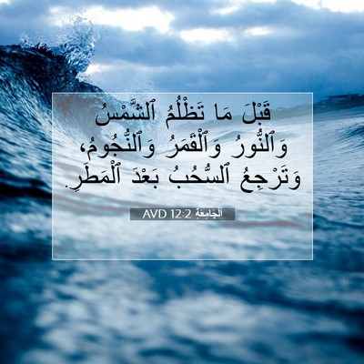 Picture 07 - اَلْجَامِعَةِ 12:2 AVD - قَبْلَ مَا تَظْلُمُ - Bible Verse Picture