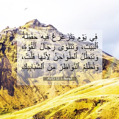 Picture 07 - اَلْجَامِعَةِ 12:3 AVD - فِي يَوْمٍ يَتَزَعْزَعُ - Bible Verse Picture