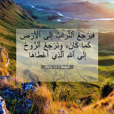 Picture 07 - اَلْجَامِعَةِ 12:7 AVD - فَيَرْجِعُ ٱلتُّرَابُ - Bible Verse Picture