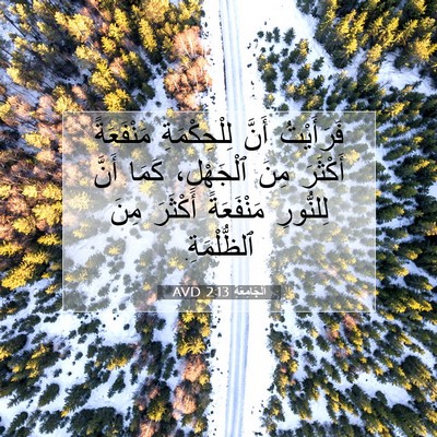 Picture 07 - اَلْجَامِعَةِ 2:13 AVD - فَرَأَيْتُ أَنَّ - Bible Verse Picture
