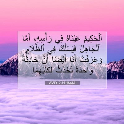 Picture 07 - اَلْجَامِعَةِ 2:14 AVD - اَلْحَكِيمُ عَيْنَاهُ فِي - Bible Verse Picture