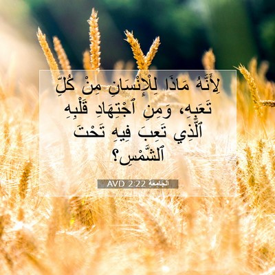 Picture 07 - اَلْجَامِعَةِ 2:22 AVD - لِأَنَّهُ مَاذَا - Bible Verse Picture