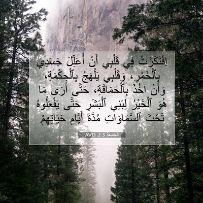 Picture 07 - اَلْجَامِعَةِ 2:3 AVD - اِفْتَكَرْتُ فِي قَلْبِي - Bible Verse Picture