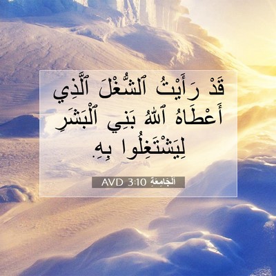 Picture 07 - اَلْجَامِعَةِ 3:10 AVD - قَدْ رَأَيْتُ ٱلشُّغْلَ - Bible Verse Picture
