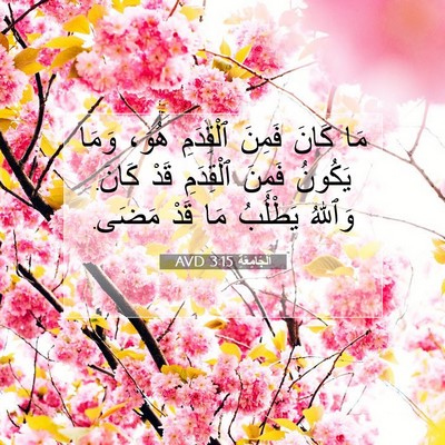 Picture 07 - اَلْجَامِعَةِ 3:15 AVD - مَا كَانَ فَمِنَ ٱلْقِدَمِ - Bible Verse Picture