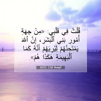 Picture 07 - اَلْجَامِعَةِ 3:18 AVD - قُلْتُ فِي قَلْبِي: «مِنْ - Bible Verse Picture