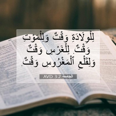 Picture 07 - اَلْجَامِعَةِ 3:2 AVD - لِلْوِلَادَةِ وَقْتٌ - Bible Verse Picture