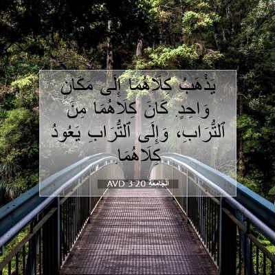 Picture 07 - اَلْجَامِعَةِ 3:20 AVD - يَذْهَبُ كِلَاهُمَا إِلَى - Bible Verse Picture
