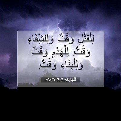 Picture 07 - اَلْجَامِعَةِ 3:3 AVD - لِلْقَتْلِ وَقْتٌ - Bible Verse Picture