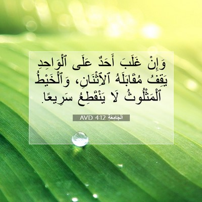 Picture 07 - اَلْجَامِعَةِ 4:12 AVD - وَإِنْ غَلَبَ أَحَدٌ عَلَى - Bible Verse Picture