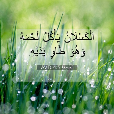 Picture 07 - اَلْجَامِعَةِ 4:5 AVD - اَلْكَسْلَانُ يَأْكُلُ - Bible Verse Picture