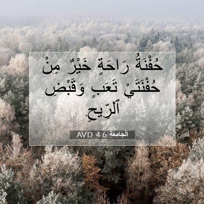 Picture 07 - اَلْجَامِعَةِ 4:6 AVD - حُفْنَةُ رَاحَةٍ خَيْرٌ - Bible Verse Picture