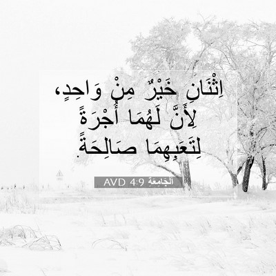 Picture 07 - اَلْجَامِعَةِ 4:9 AVD - اِثْنَانِ خَيْرٌ مِنْ - Bible Verse Picture
