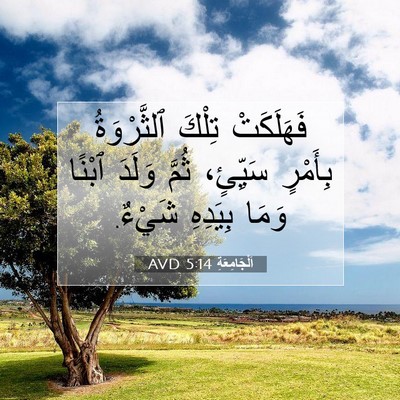 Picture 07 - اَلْجَامِعَةِ 5:14 AVD - فَهَلَكَتْ تِلْكَ - Bible Verse Picture