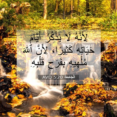 Picture 07 - اَلْجَامِعَةِ 5:20 AVD - لِأَنَّهُ لَا يَذْكُرُ - Bible Verse Picture
