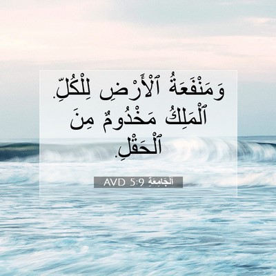 Picture 07 - اَلْجَامِعَةِ 5:9 AVD - وَمَنْفَعَةُ ٱلْأَرْضِ - Bible Verse Picture
