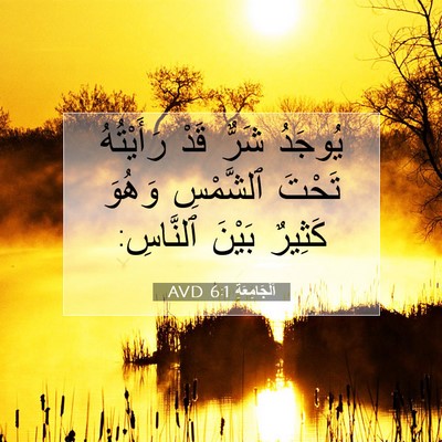 Picture 07 - اَلْجَامِعَةِ 6:1 AVD - يُوجَدُ شَرٌّ قَدْ - Bible Verse Picture