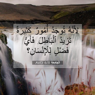 Picture 07 - اَلْجَامِعَةِ 6:11 AVD - لِأَنَّهُ تُوجَدُ أُمُورٌ - Bible Verse Picture