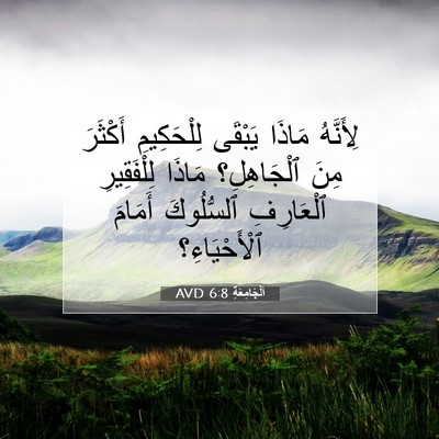 Picture 07 - اَلْجَامِعَةِ 6:8 AVD - لِأَنَّهُ مَاذَا يَبْقَى - Bible Verse Picture