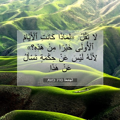 Picture 07 - اَلْجَامِعَةِ 7:10 AVD - لَا تَقُلْ: «لِمَاذَا - Bible Verse Picture