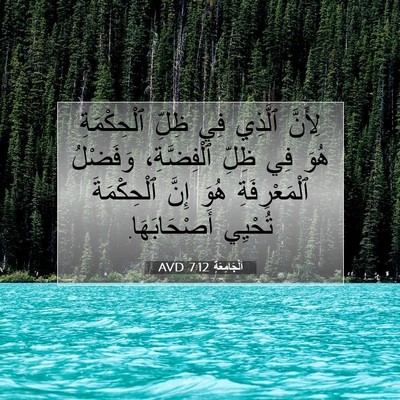 Picture 07 - اَلْجَامِعَةِ 7:12 AVD - لِأَنَّ ٱلَّذِي فِي ظِلِّ - Bible Verse Picture