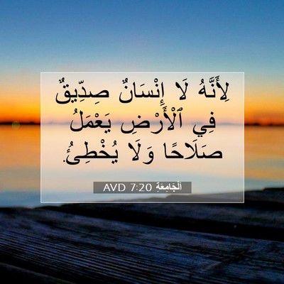 Picture 07 - اَلْجَامِعَةِ 7:20 AVD - لِأَنَّهُ لَا إِنْسَانٌ - Bible Verse Picture